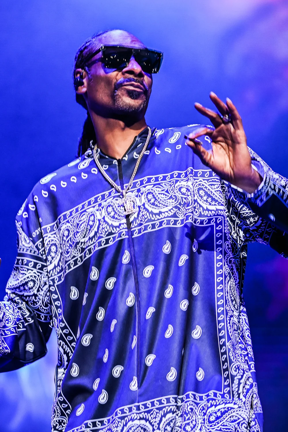 Snoop Dogg campaign